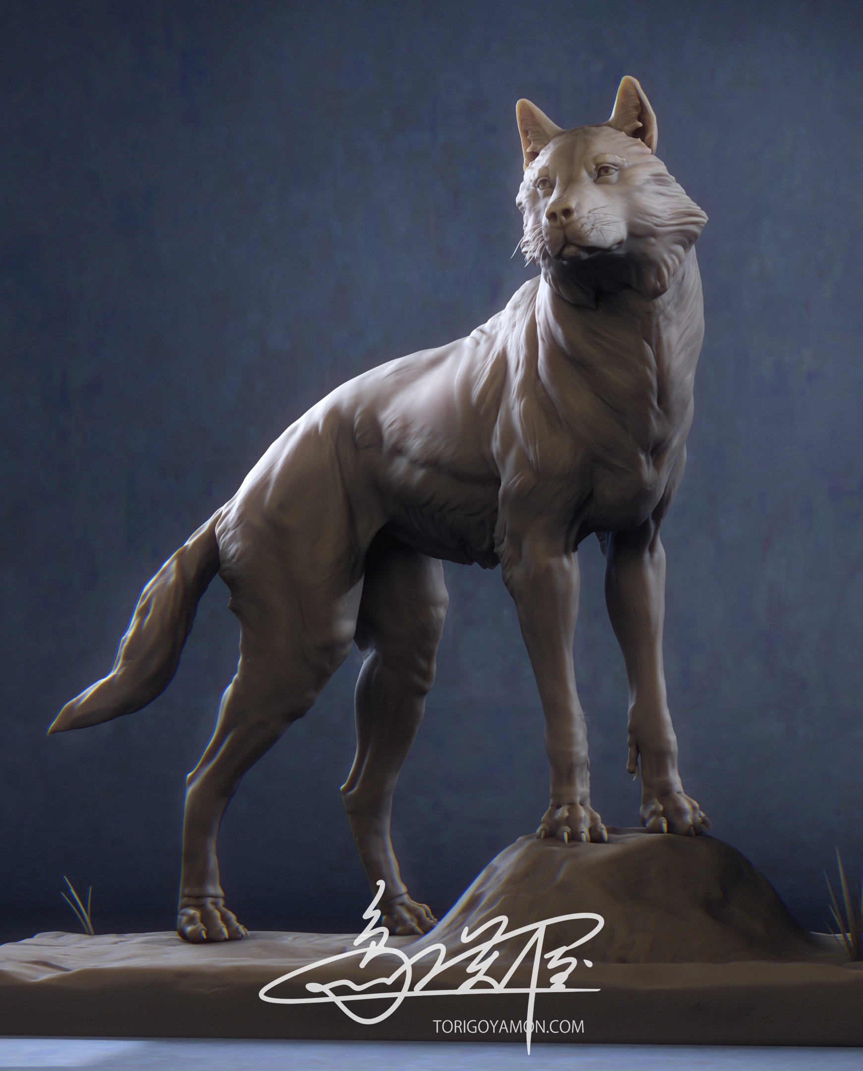 Wolf Study